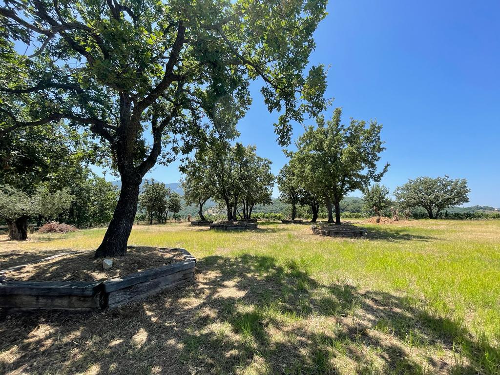 Land in Corfu, Greece, 26 159 m² - picture 4