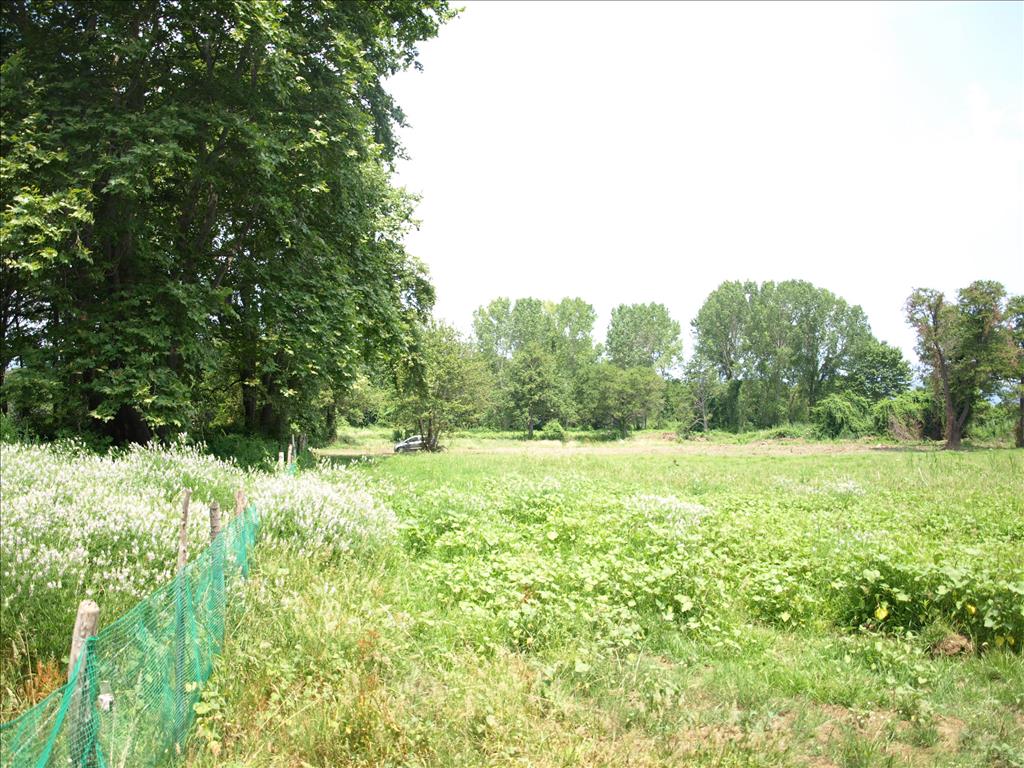 Terreno a Calcidica, Grecia, 10 045 m2 - foto 4