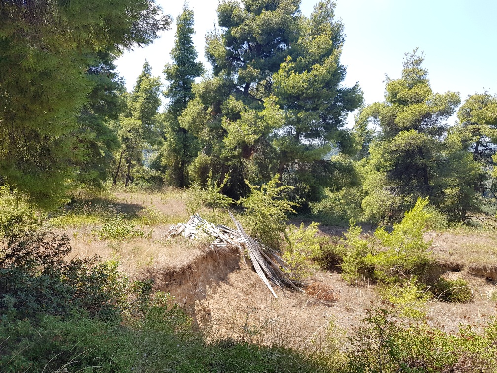Terrain à Kassandra, Grèce, 11 000 m² - image 4