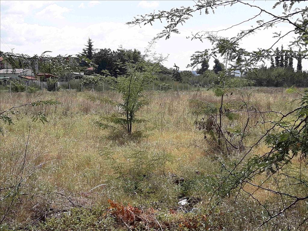 Terreno a Salonicco, Grecia, 5 908 m2 - foto 4