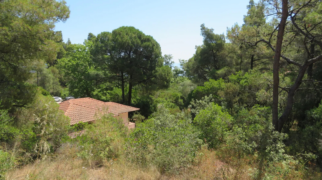 Maison en Sithonie, Grèce, 45 m² - image 4