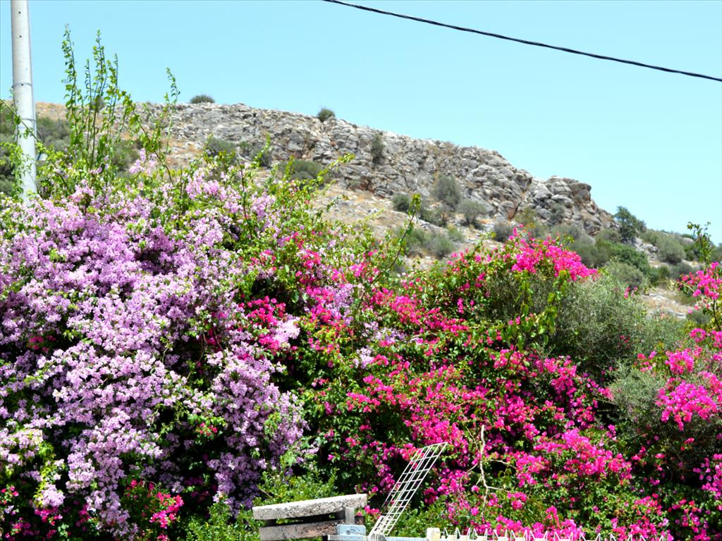 Casa en Ática, Grecia, 93 m² - imagen 4