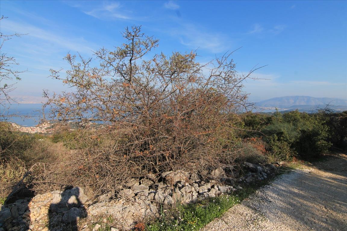 Terreno en Corfú, Grecia, 22 000 m² - imagen 4