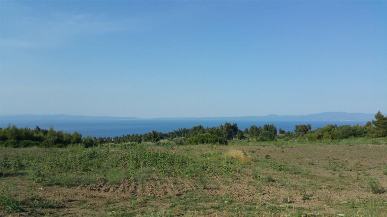 Land in Kassandra, Greece, 14 625 m² - picture 4