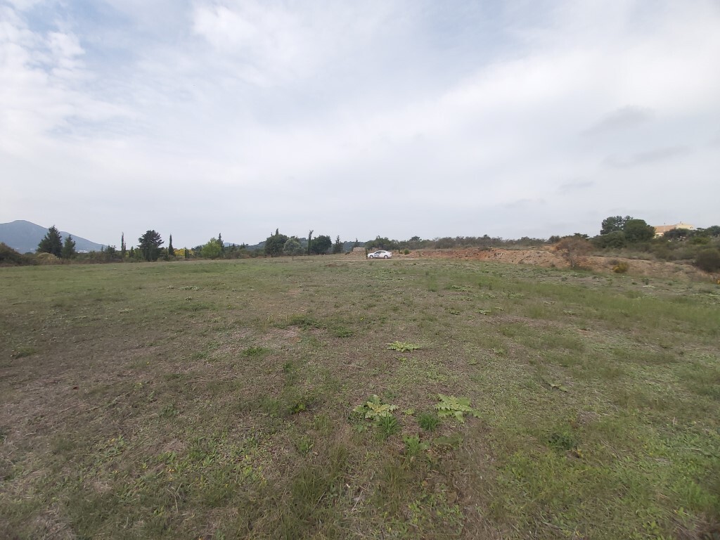 Land in Corfu, Greece, 7 421 m² - picture 4