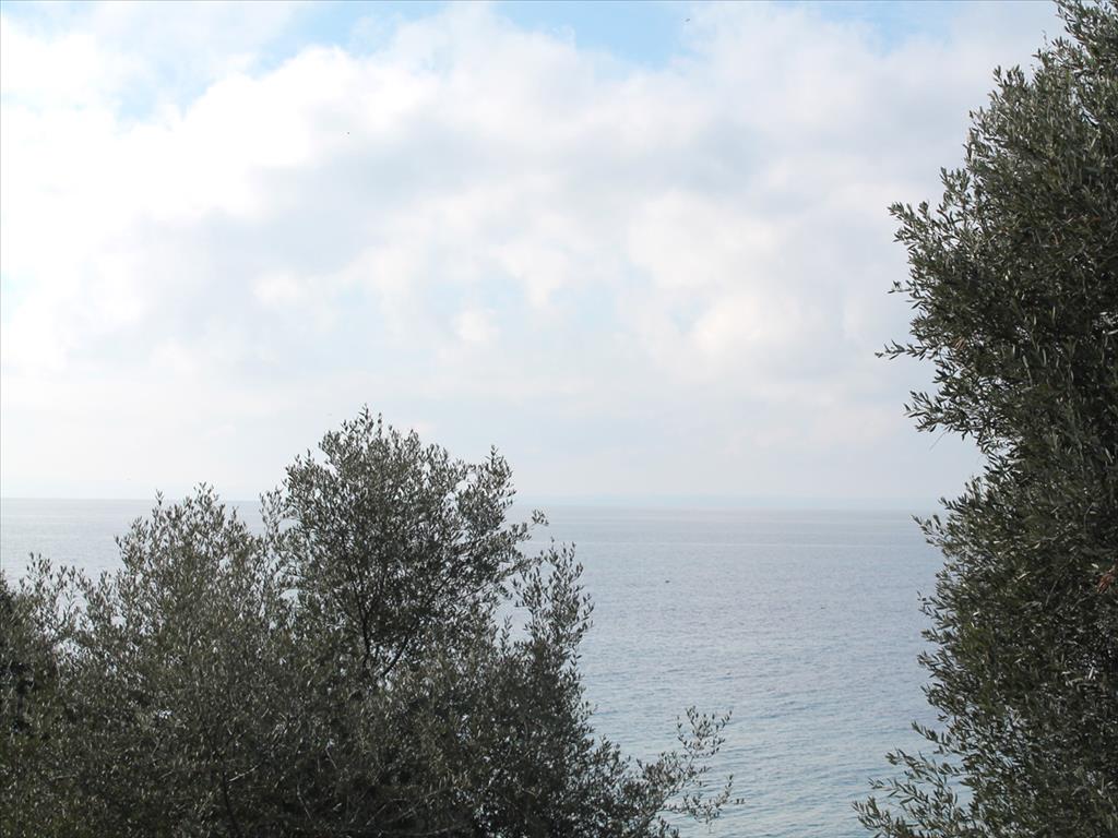 Terreno en Sitonia, Grecia, 13 244 m² - imagen 4