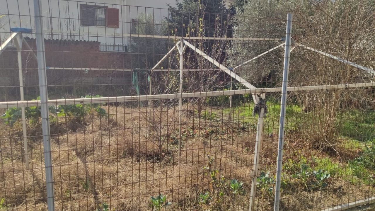 Land in Olympiaki Akti, Greece, 600 m² - picture 4