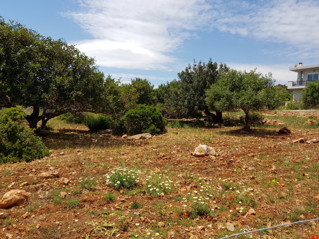 Terreno a Heraklion, Grecia, 4 542 m2 - foto 4