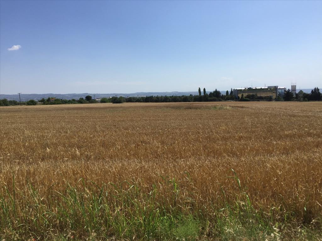 Grundstück in Thessaloniki, Griechenland, 16 000 m² - Foto 4