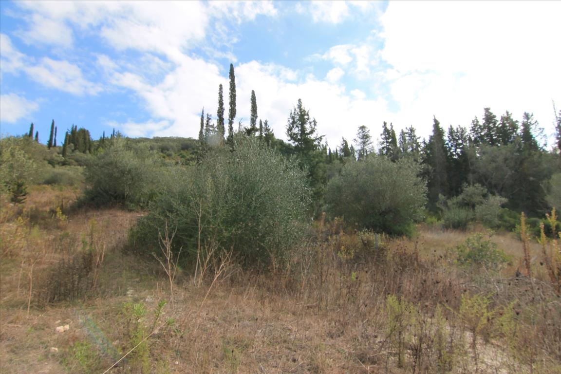 Terrain à Corfou, Grèce, 15 000 m² - image 4