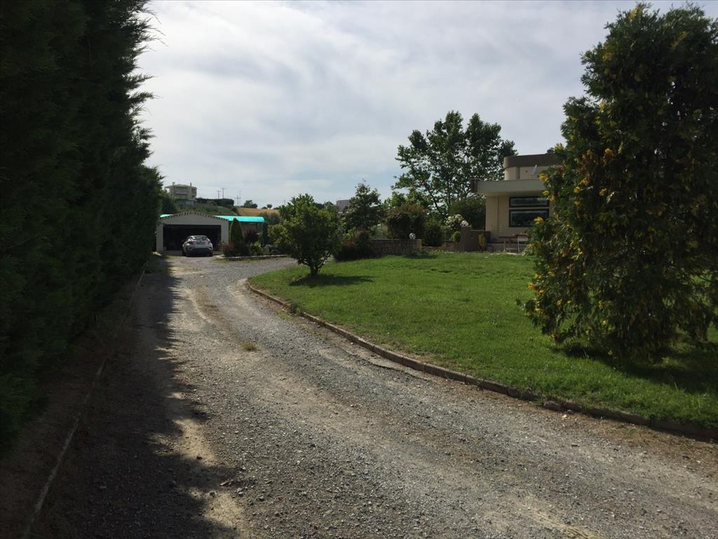 Villa à Thessalonique, Grèce, 440 m² - image 4