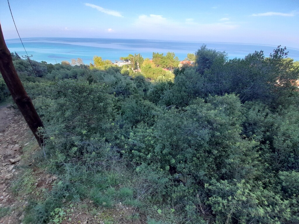 Terreno en Kassandra, Grecia, 2 704 m² - imagen 4