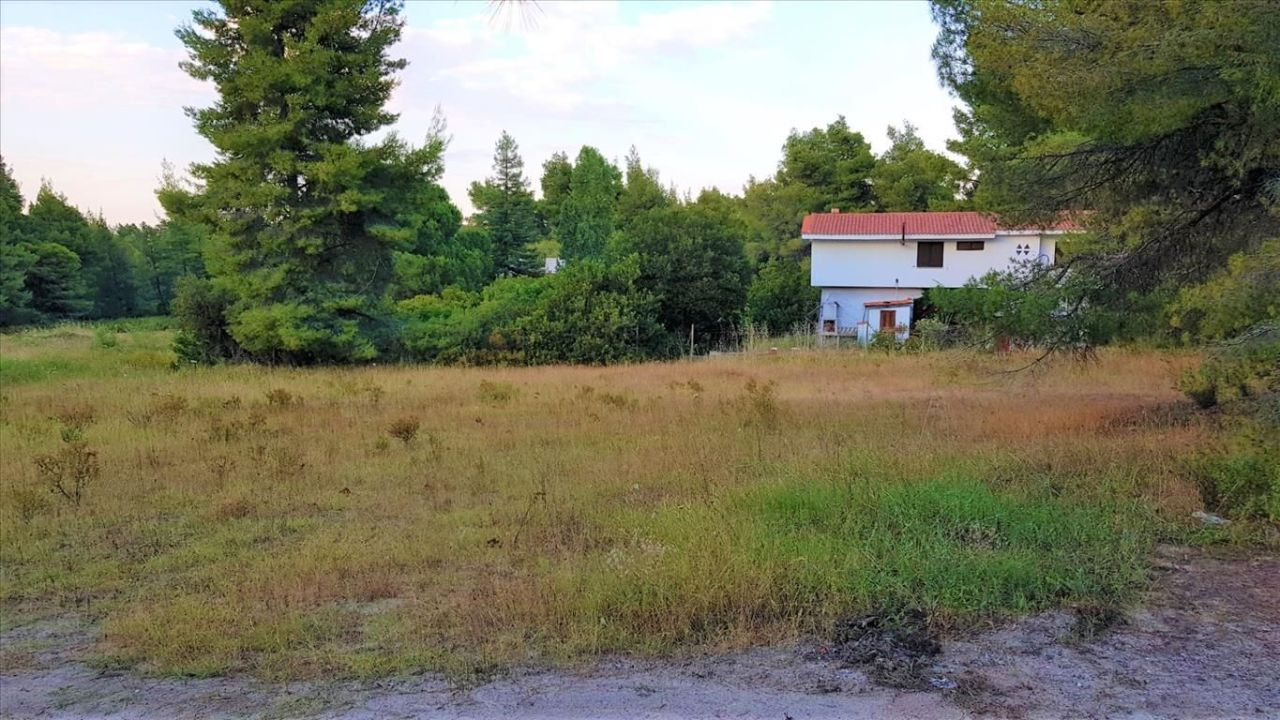 Grundstück in Sithonia, Griechenland, 19 895 m² - Foto 4