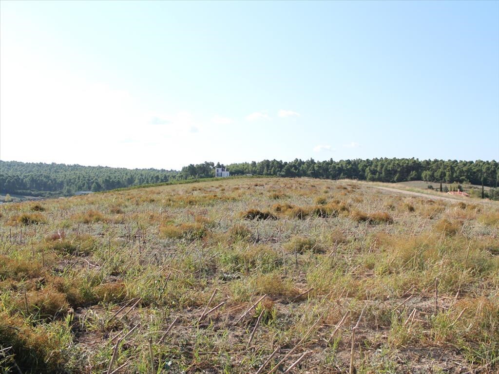 Terrain à Kassandra, Grèce, 4 500 m² - image 4