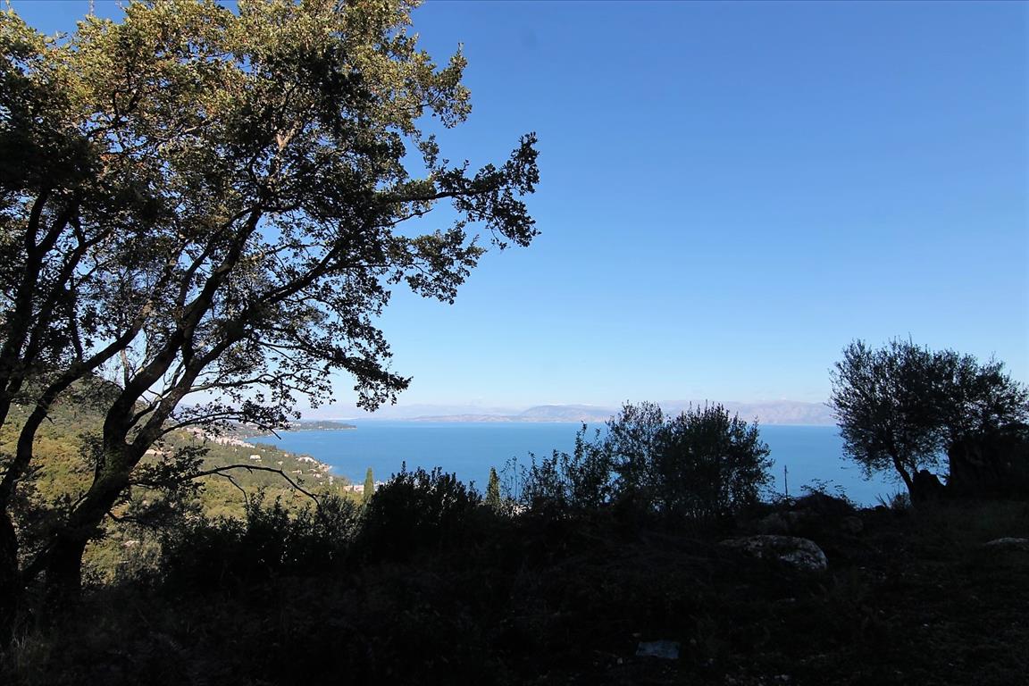 Land in Corfu, Greece, 5 000 m² - picture 4