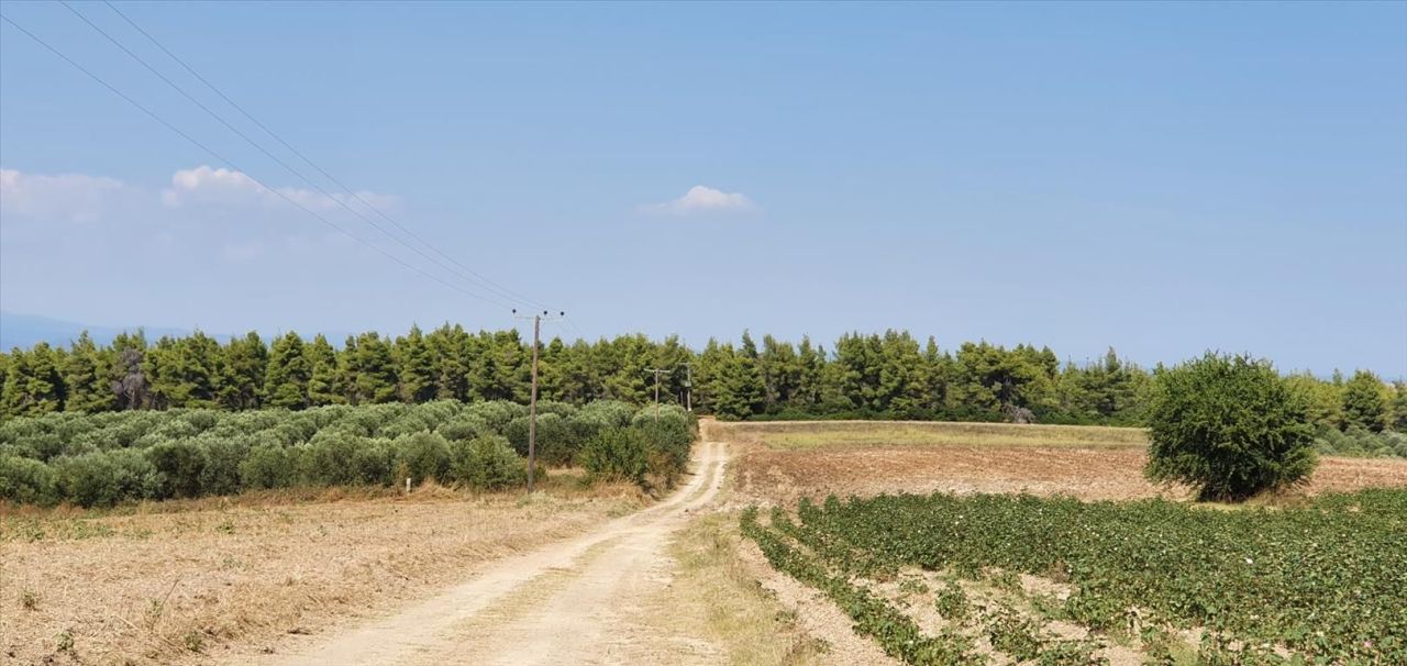 Land in Kassandra, Greece, 30 000 m² - picture 4
