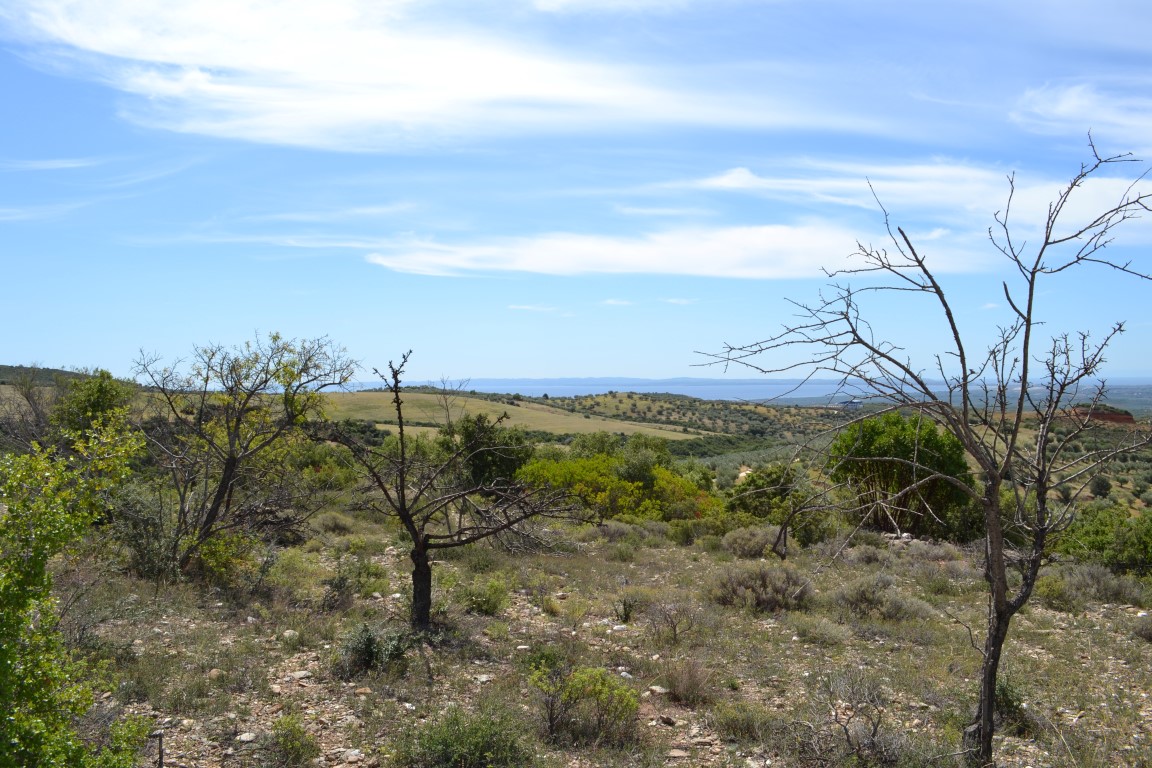 Terreno en Calcídica, Grecia, 20 000 m² - imagen 4