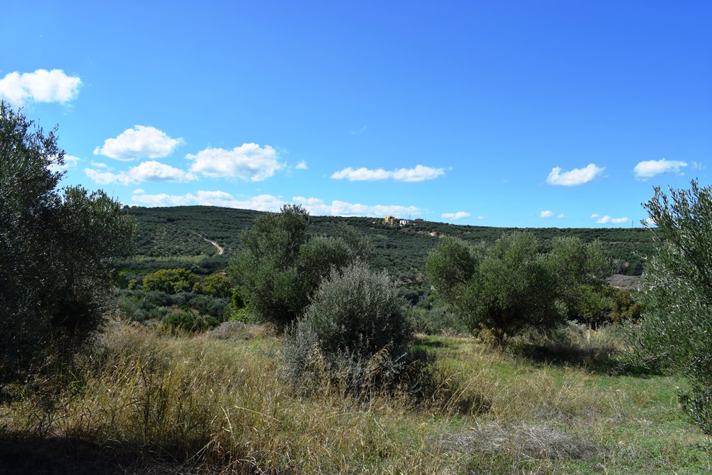 Terrain à Héraklion, Grèce, 2 010 m² - image 4