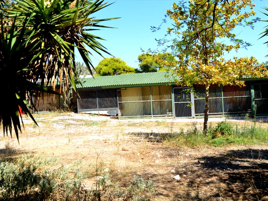 House in Attica, Greece, 180 m² - picture 4