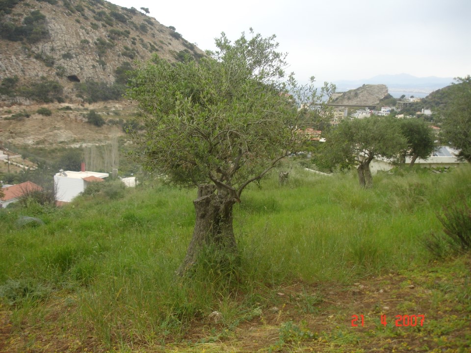 Grundstück in Heraklion, Griechenland, 2 200 m² - Foto 4