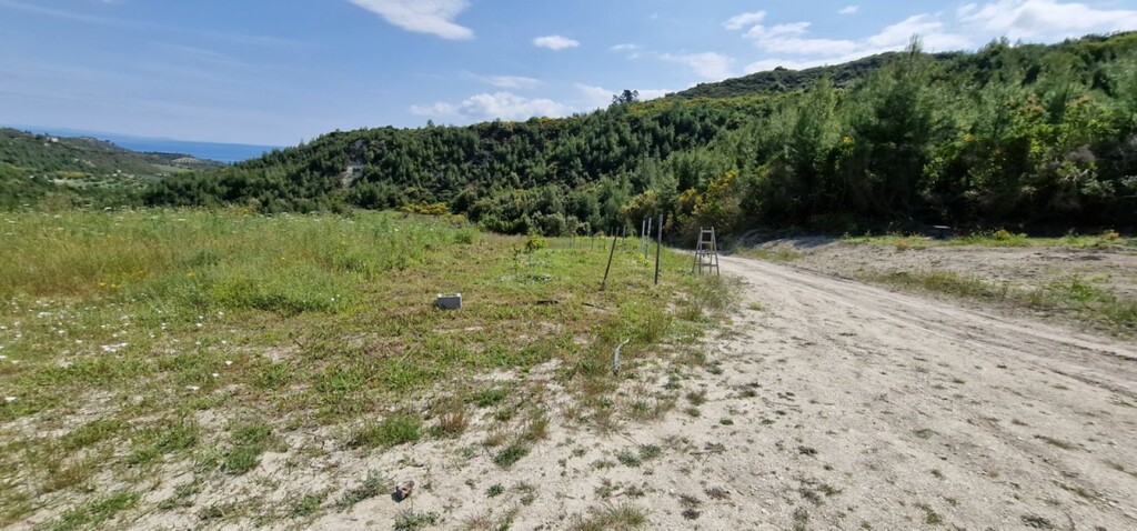 Terreno en Kassandra, Grecia, 10 000 m² - imagen 4