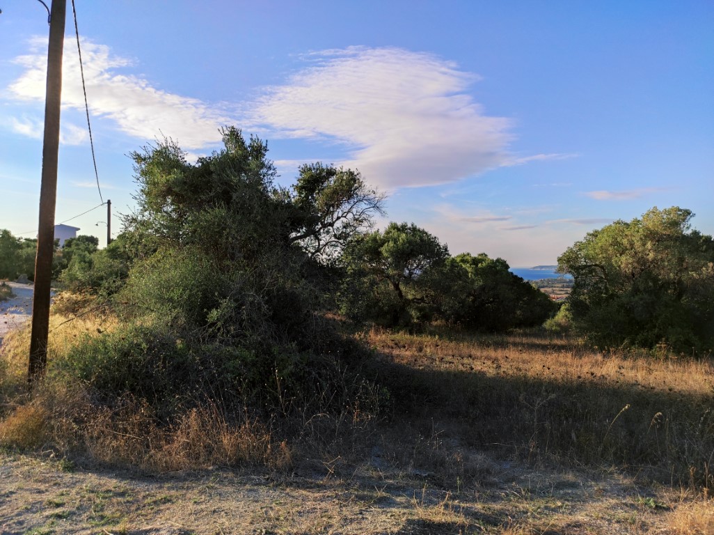 Land in Kassandra, Greece, 5 500 m² - picture 4