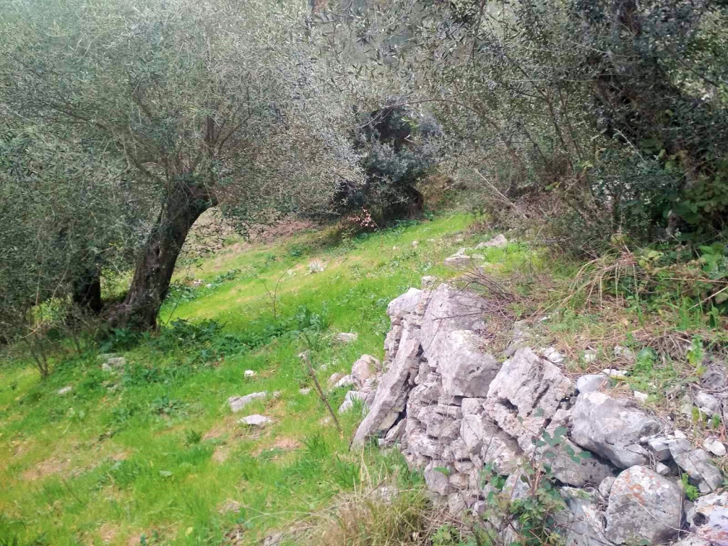 Land in Corfu, Greece, 4 363 m² - picture 4