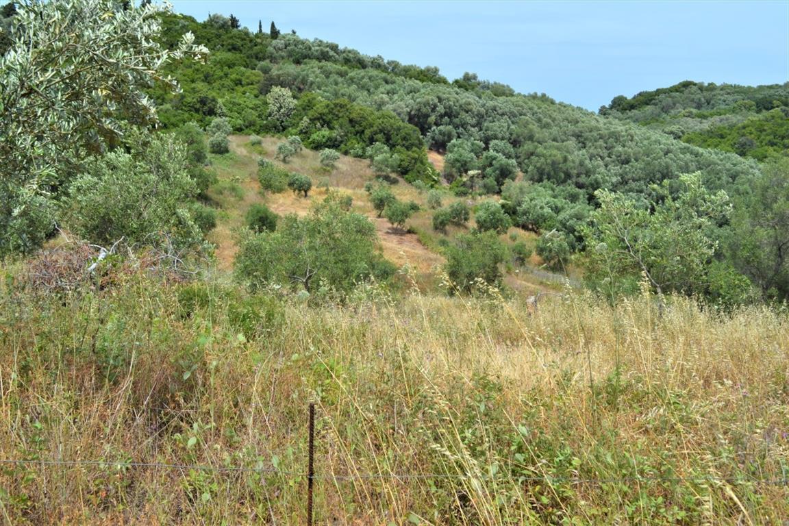 Terreno en Corfú, Grecia, 12 000 m² - imagen 4