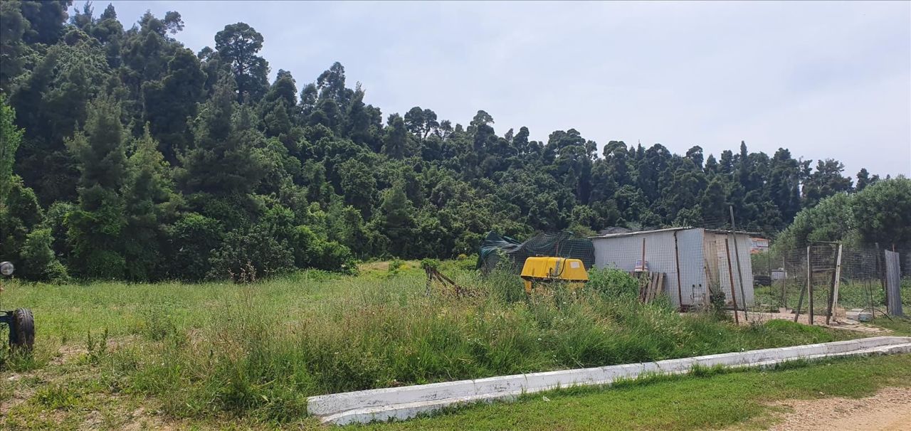 Terreno en Kassandra, Grecia, 5 786 m² - imagen 4