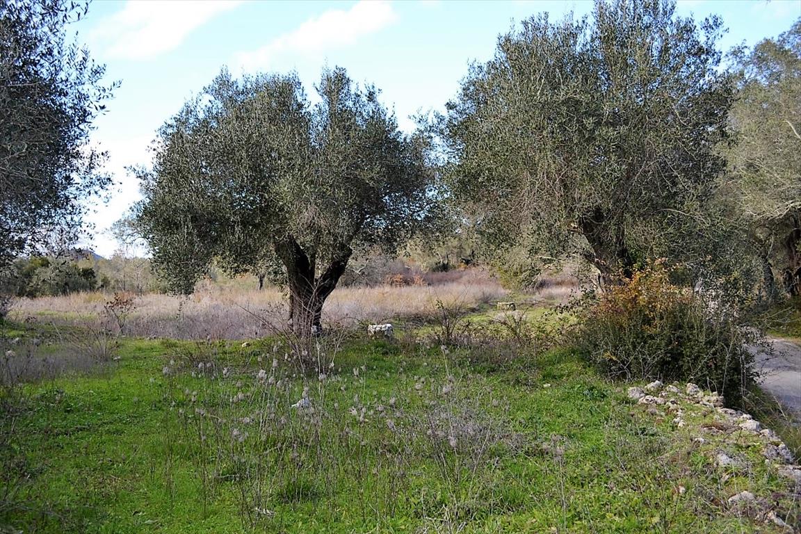 Terreno a Corfù, Grecia, 20 000 m2 - foto 4