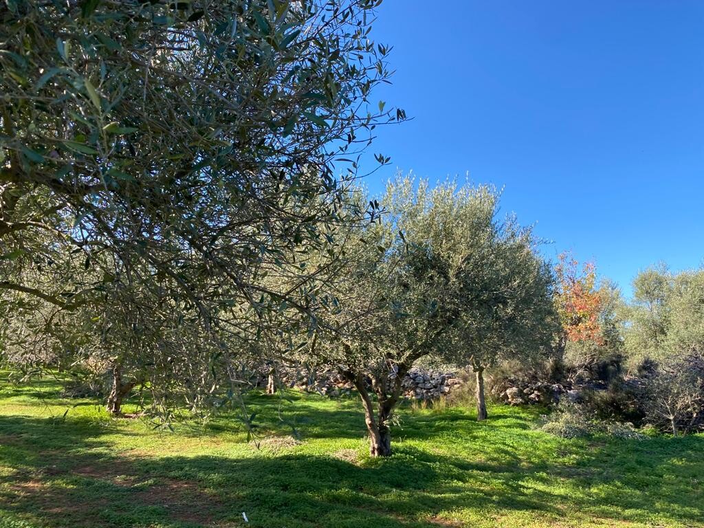 Grundstück in Heraklion, Griechenland, 20 000 m² - Foto 4