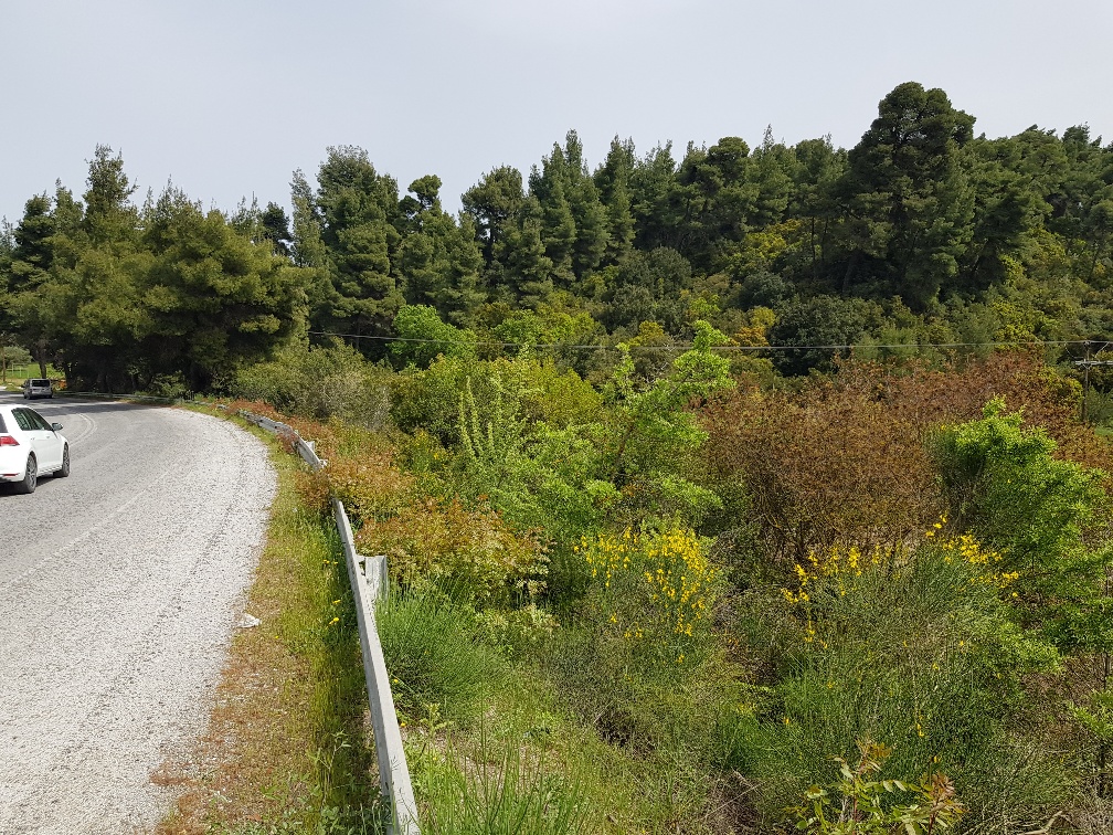 Terreno en Kassandra, Grecia, 2 468 m² - imagen 4