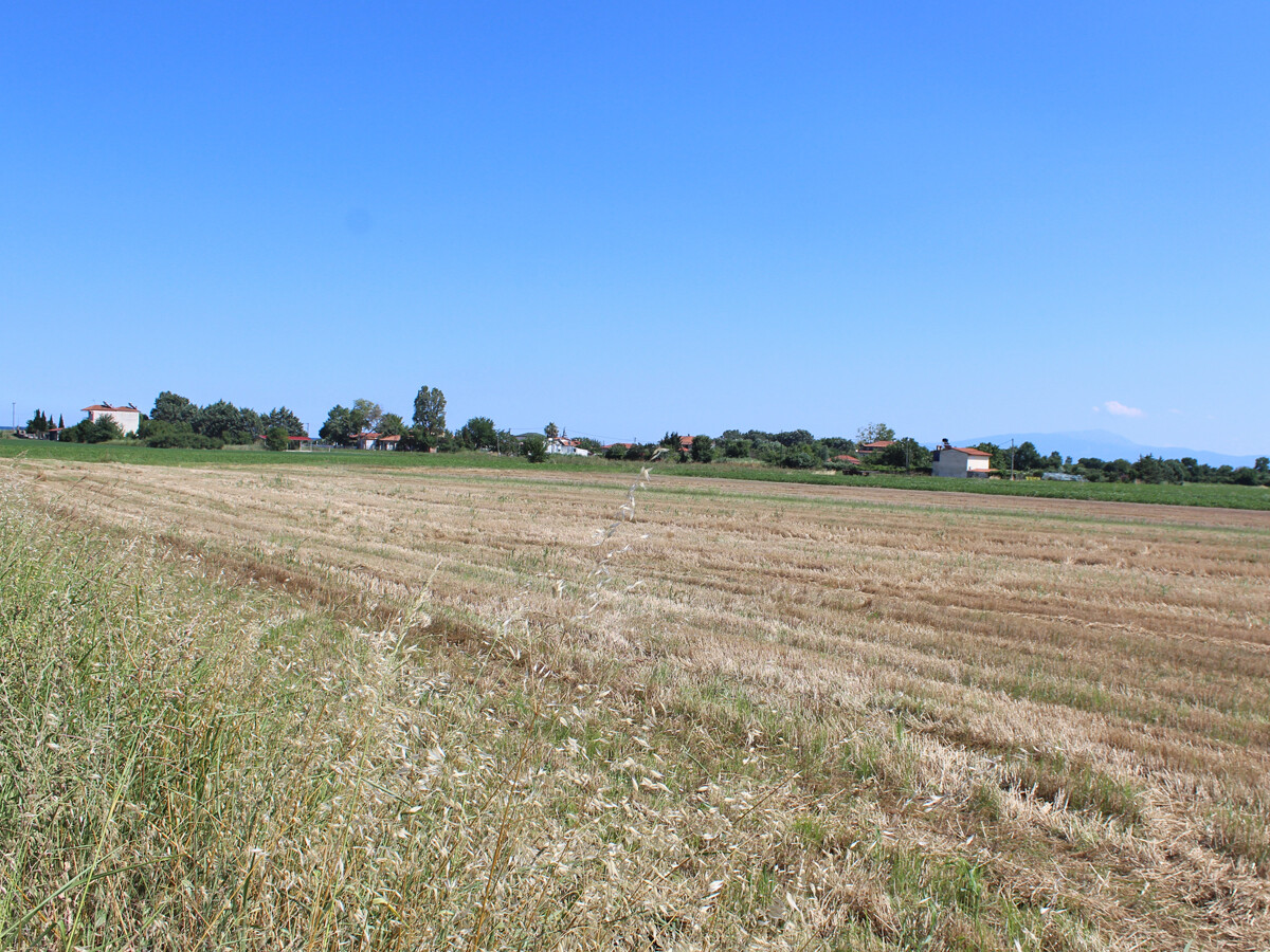 Land in Olympiaki Akti, Greece, 10 000 m² - picture 4