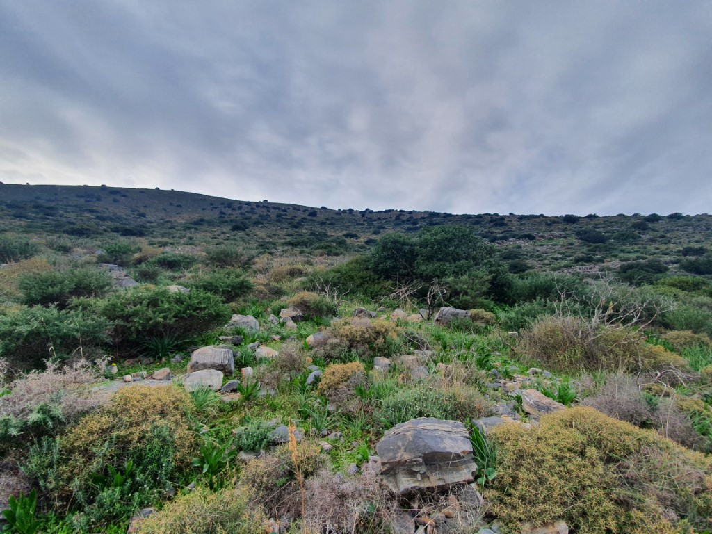 Terreno a Heraklion, Grecia, 5 340 m2 - foto 4