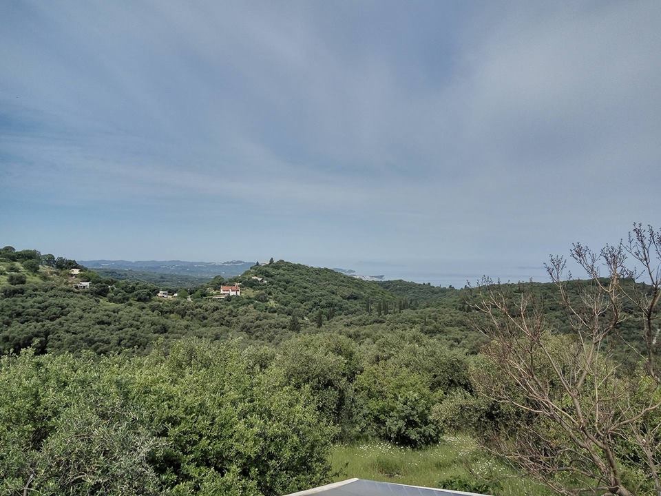 Land in Corfu, Greece, 17 000 m² - picture 4
