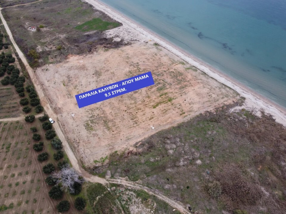 Land in Chalkidiki, Greece, 9 500 m² - picture 4