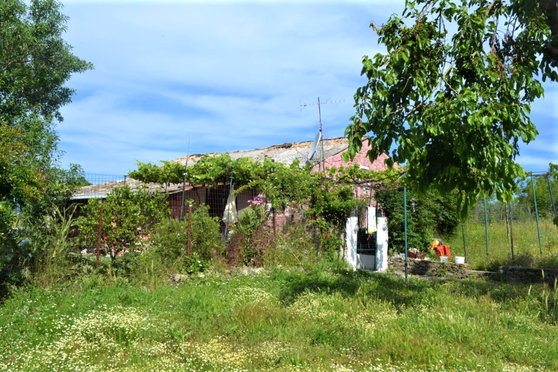 Land in Corfu, Greece, 12 044 m² - picture 4