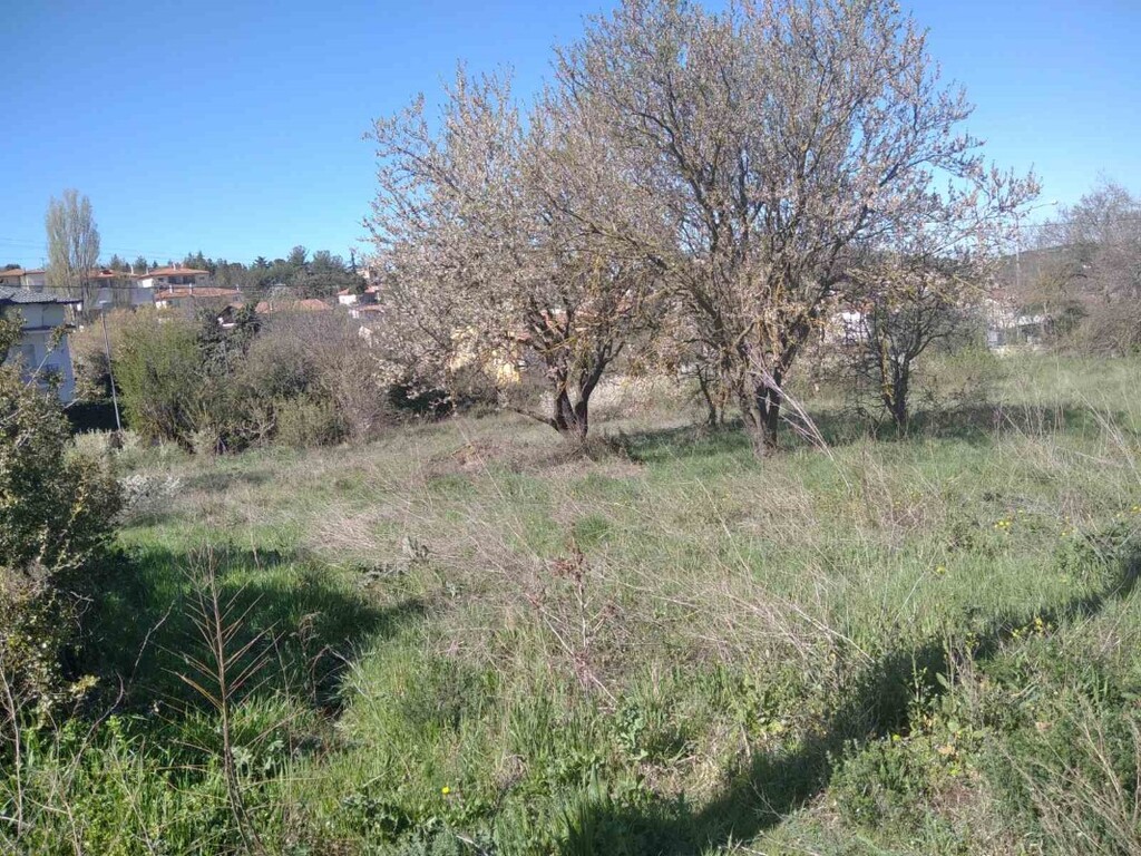Terreno a Salonicco, Grecia, 2 500 m2 - foto 4