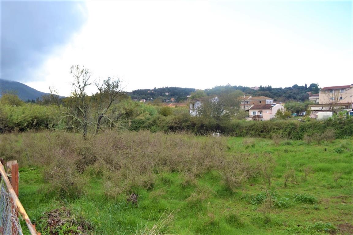 Land in Corfu, Greece, 4 200 m² - picture 4