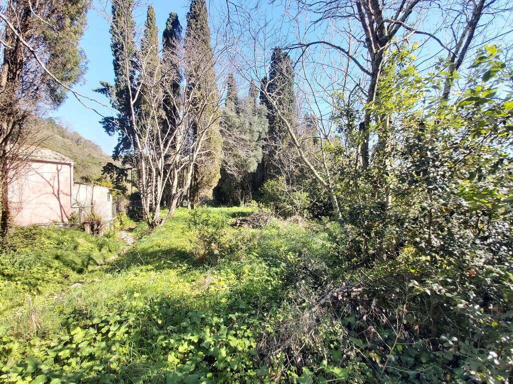 Land in Corfu, Greece, 2 770 m² - picture 4