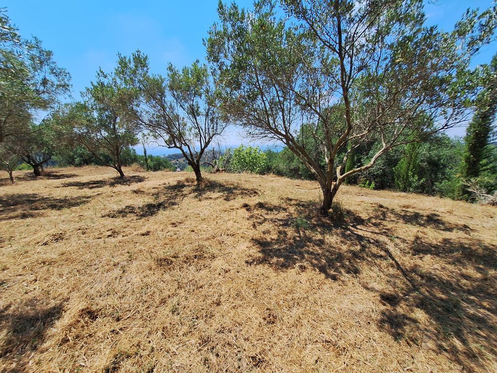 Terreno a Corfù, Grecia, 3 310 m2 - foto 4