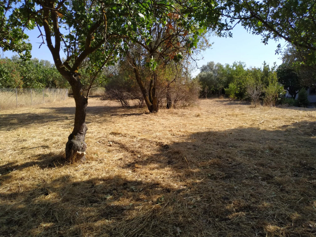 Terrain à Athènes, Grèce, 530 m² - image 4