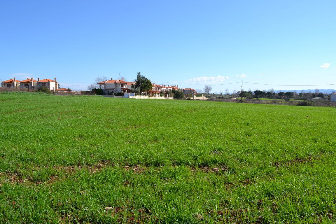 Land in Kassandra, Greece, 6 700 m² - picture 4