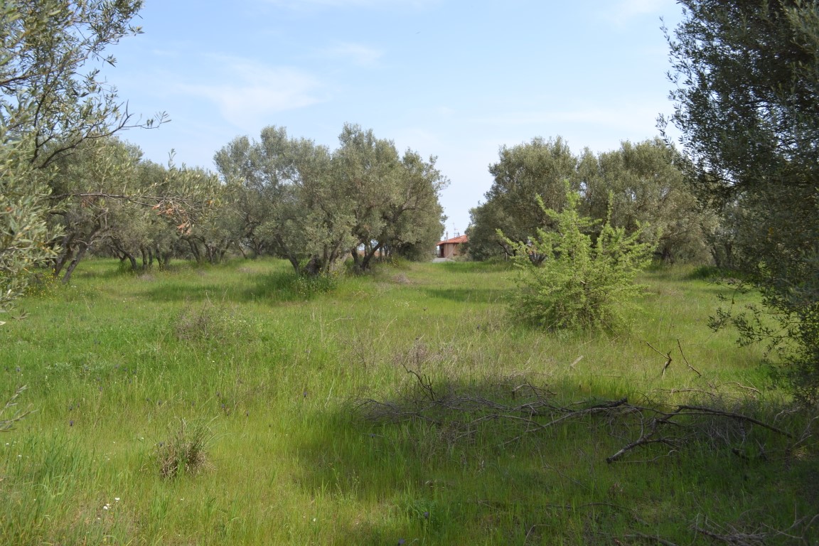 Terreno a Calcidica, Grecia, 3 050 m2 - foto 4