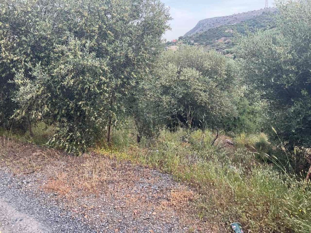 Terreno en Heraclión, Grecia, 3 750 m² - imagen 4