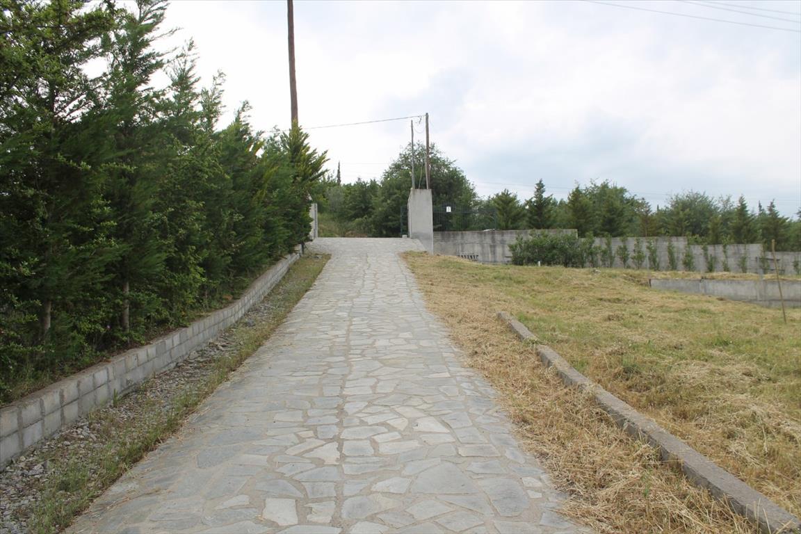 Haus in Thessaloniki, Griechenland, 250 m² - Foto 4