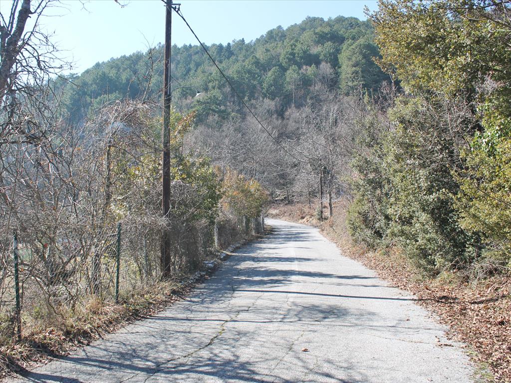 Terreno a Olympiaki Akti, Grecia, 5 500 m2 - foto 4
