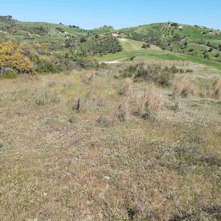 Terrain en Sithonie, Grèce, 2 233 m² - image 4