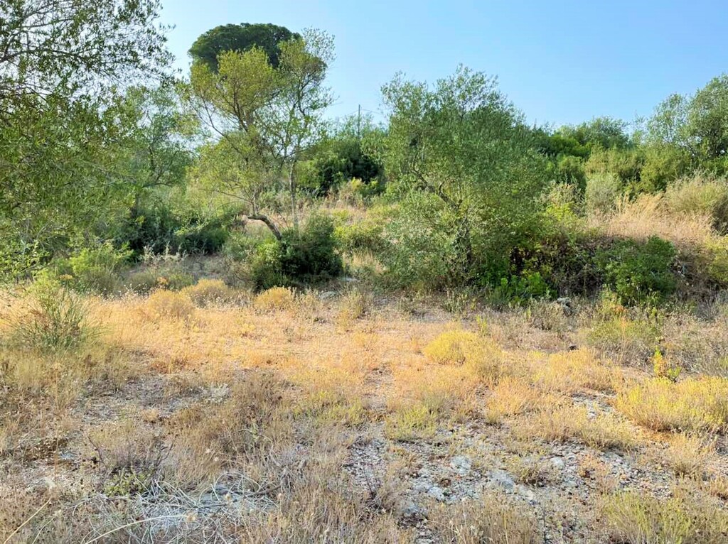 Grundstück in Korfu, Griechenland, 21 000 m² - Foto 4