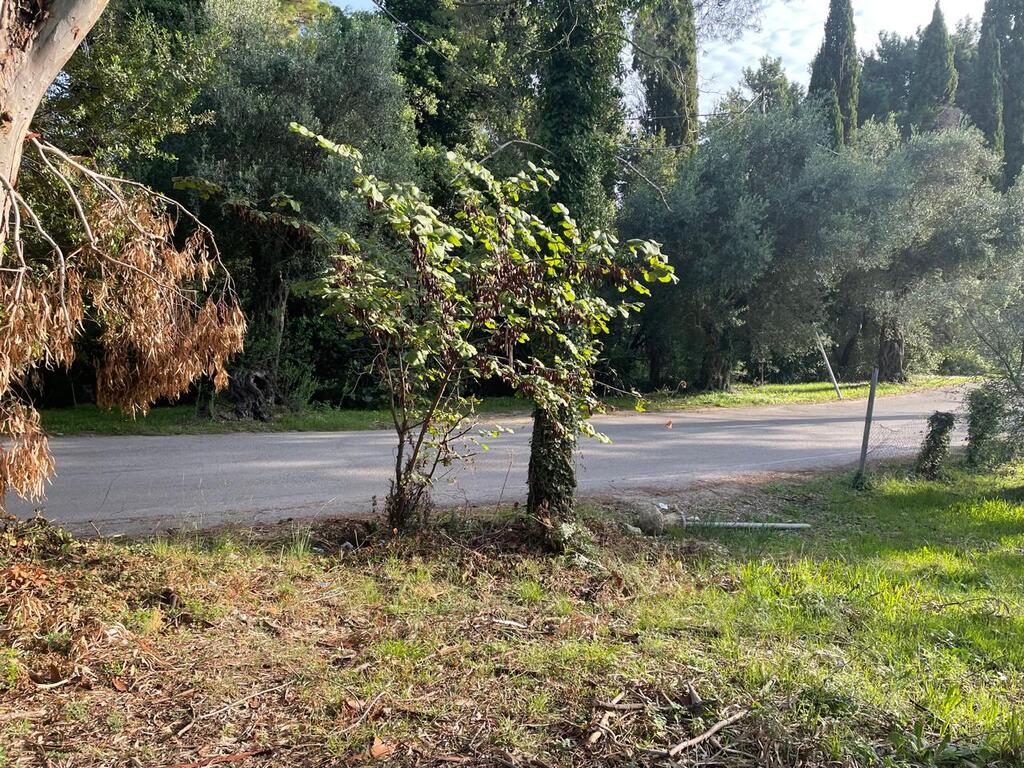 Land in Corfu, Greece, 3 321 m² - picture 4